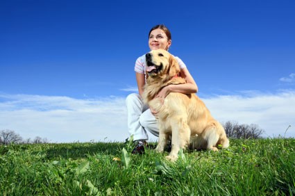 Humain et chien